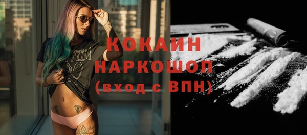 прущие грибы Няндома