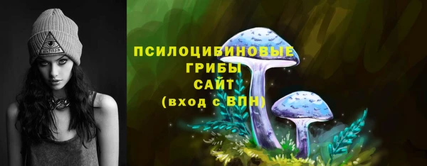 соль ск Абинск
