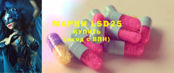 прущие грибы Няндома