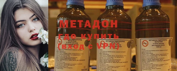 прущие грибы Няндома